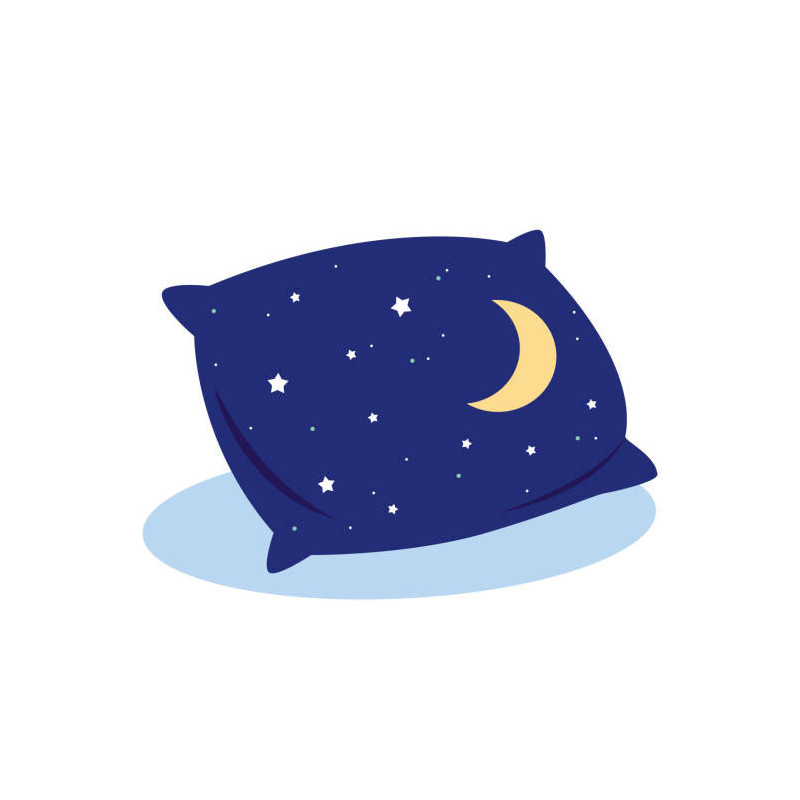 Coussin coton brodé