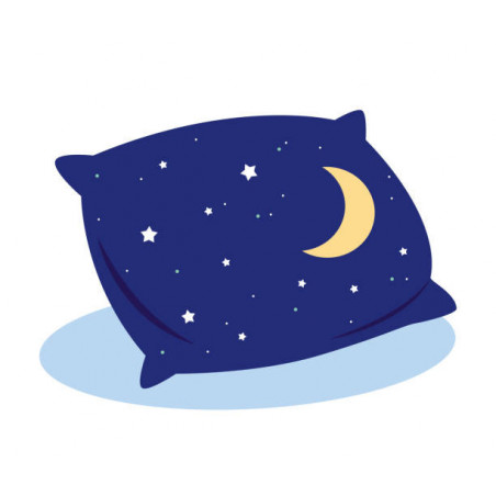 Coussin coton brodé